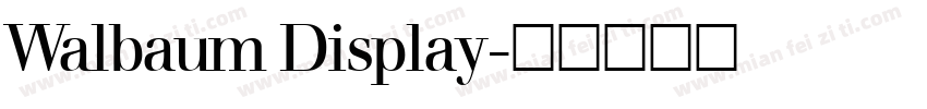 Walbaum Display字体转换